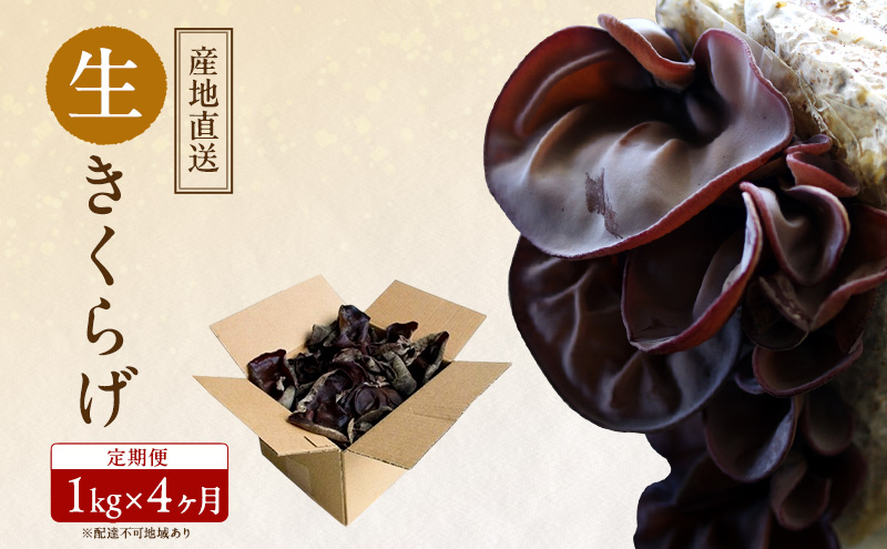 【 産地直送 】 有機JAS 生きくらげ 定期便 1kg×4ヶ月 オーガニック きくらげ きのこ 野菜 岡山県 玉野市 栽培期間中化学肥料不使用 栽培期間中農薬不使用