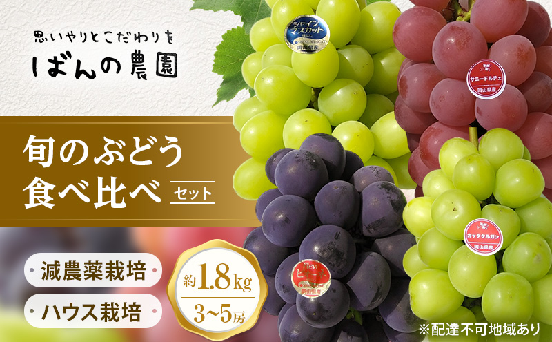 ぶどう 2026年 先行予約 旬のぶどう食べ比べセット 約1.8kg 3～5房 減農薬／ハウス栽培 ブドウ 葡萄 岡山県産 国産 フルーツ 果物 ギフト ばんの農園 マスカット