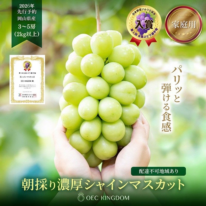 ぶどう 2026年 先行予約 ［ご家庭用］ シャイン マスカット3～5房（合計2kg以上） ブドウ 葡萄  岡山県産 国産 フルーツ 果物 OEC KINGDOM ぶどう家 果物類