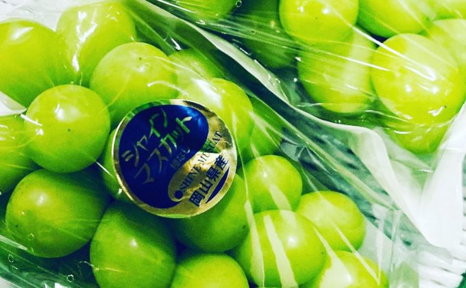 ぶどう 2026年 先行予約 シャイン マスカット 2房 合計1.4kg以上 ブドウ 葡萄 岡山県産 国産 フルーツ 果物 ギフト 河本農園 果物類 シャインマスカット