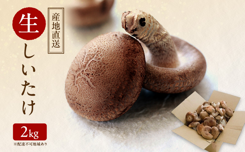 【 産地直送 】 有機JAS 生しいたけ 2kg オーガニック しいたけ きのこ 野菜 岡山県 玉野市 栽培期間中化学肥料不使用 栽培期間中農薬不使用