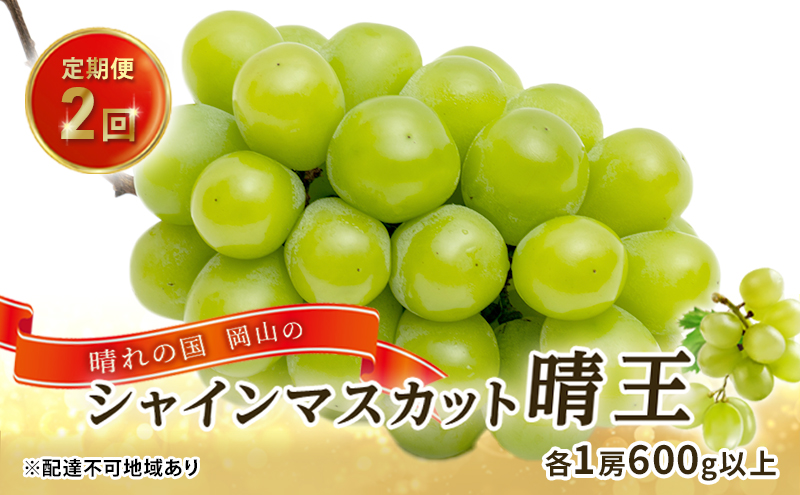 ぶどう 2026年 先行予約 晴れの国 岡山の シャイン マスカット 晴王 定期便 2回（各1房600g以上） 葡萄  岡山県産 国産 フルーツ ギフト 大粒 種なし 甘みが強い 皮ごと食べられる