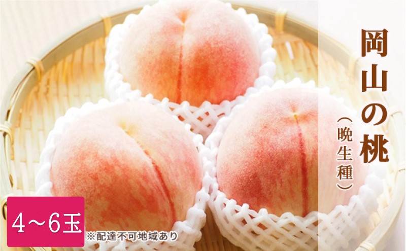 桃 2026年 先行予約 特選 岡山の白桃 4～6玉 1.5k箱（正味内容量1.3kg以上）晩生種 もも モモ 岡山県産 国産 フルーツ 果物 ギフト