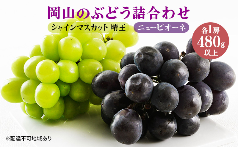 ぶどう 2026年 先行予約 果物 詰合せ ニュー ピオーネ 1房480g以上 シャイン マスカット 晴王 1房 480g以上 化粧箱入り ブドウ 葡萄  岡山県産 国産 フルーツ 果物 ギフト