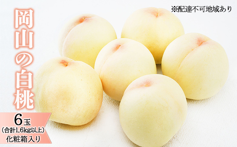 桃 2026年 先行予約 岡山 の 白桃 6玉（合計1.6kg以上）化粧箱入り もも モモ 岡山県産 国産 フルーツ 果物 ギフト