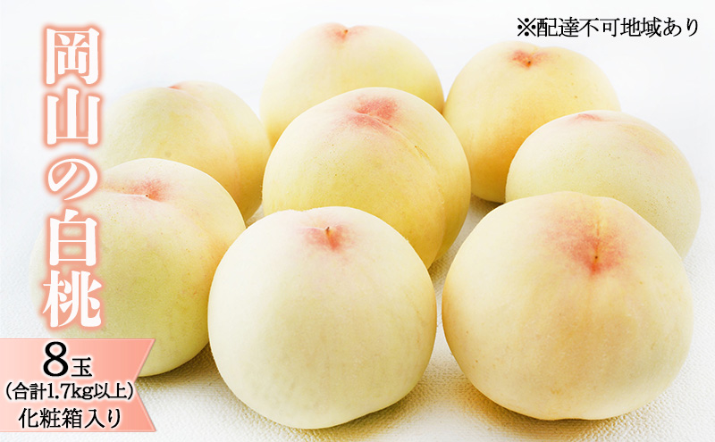 桃 2026年 先行予約 岡山 の 白桃 8玉（合計1.7kg以上）化粧箱入り もも モモ 岡山県産 国産 フルーツ 果物 ギフト