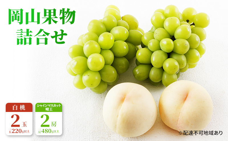 桃 ぶどう 2026年 先行予約 果物 詰合せ 白桃 2玉（1玉220g以上）シャインマスカット 晴王 2房（1房480g以上）化粧箱入り もも 葡萄 岡山県産 国産 フルーツ 果物 ギフト