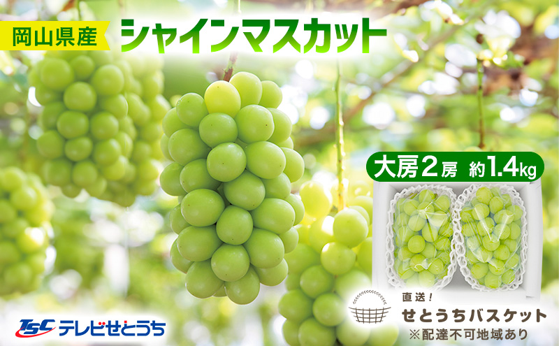 ぶどう 2026年 先行予約 シャインマスカット 大房 2房 約1.4kg ブドウ 葡萄 岡山県産 国産 フルーツ 果物 直送！せとうちバスケット