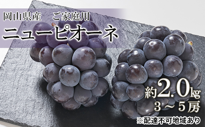 【2024豊富な】ブドウ　ピオーネ　ぶどう フルーツ