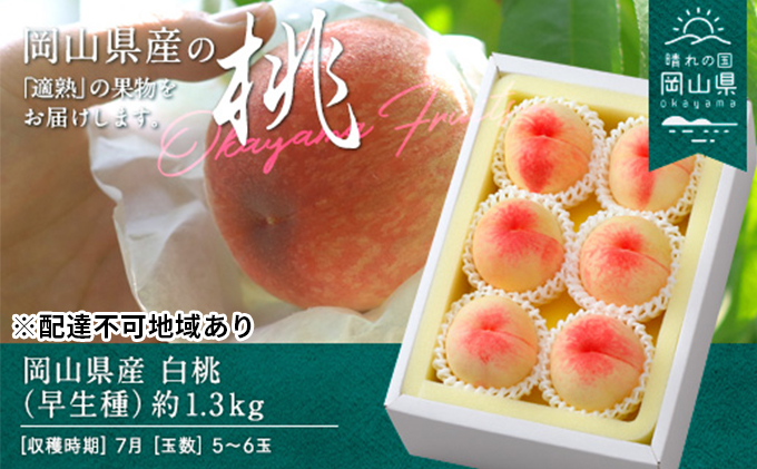 桃 2026年 先行予約 白桃 早生種 約1.3kg  5～6玉 もも モモ 岡山県産 国産 フルーツ 果物 ギフト