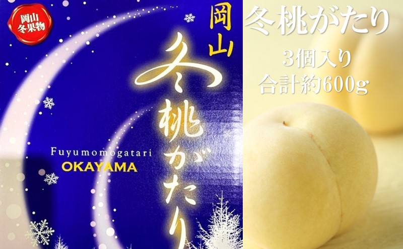 桃 2026年 先行予約 岡山県産 白桃 冬桃がたり 3個入り 約600g もも モモ 岡山県産 国産 フルーツ 果物 ギフト