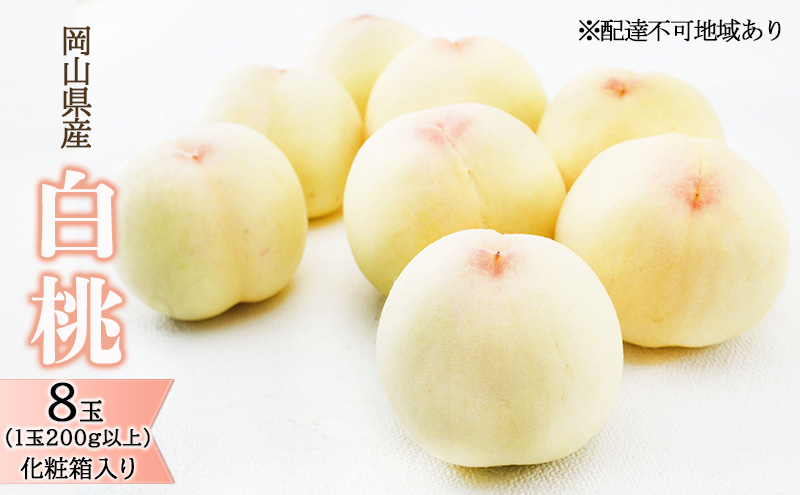 桃 2026年 先行予約 白桃 8玉（1玉200g以上）化粧箱入り もも モモ 岡山県産 国産 フルーツ 果物 ギフト