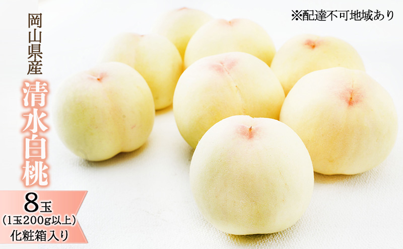 桃 2026年 先行予約 清水 白桃 8玉（1玉200g以上）化粧箱入り もも モモ 岡山県産 国産 フルーツ 果物 ギフト