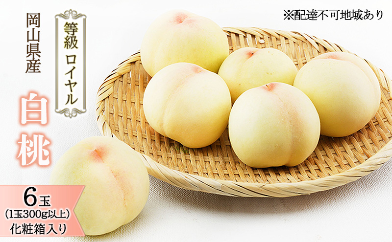 桃 2026年 先行予約 白桃 6玉（1玉300g以上）等級： ロイヤル 化粧箱入り もも モモ 岡山県産 国産 フルーツ 果物 ギフト  最高等級品 糖度12.0度以上 芳潤な香り贈答用 果汁滴る