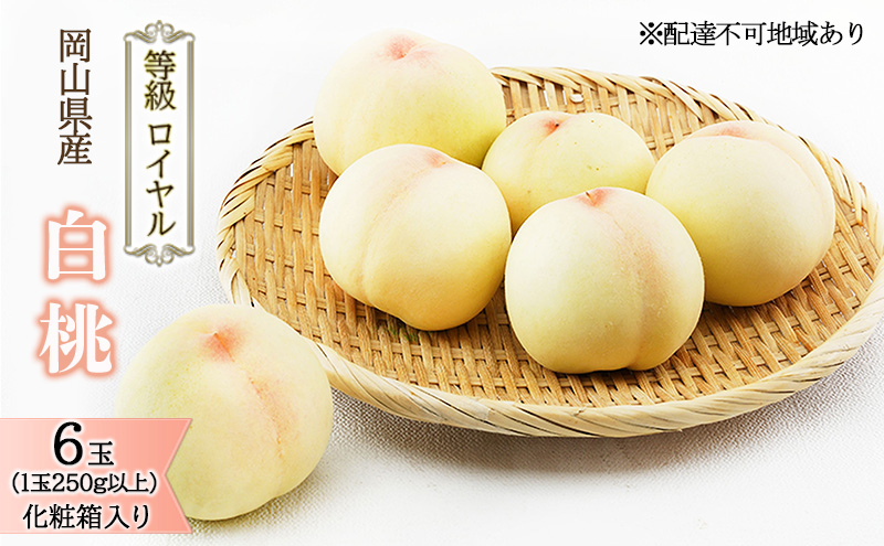 桃 2026年 先行予約 白桃 6玉（1玉250g以上）等級： ロイヤル 化粧箱入り もも モモ 岡山県産 国産 フルーツ 果物 ギフト 最高等級品 糖度12.0度以上 芳潤な香り贈答用 果汁滴る