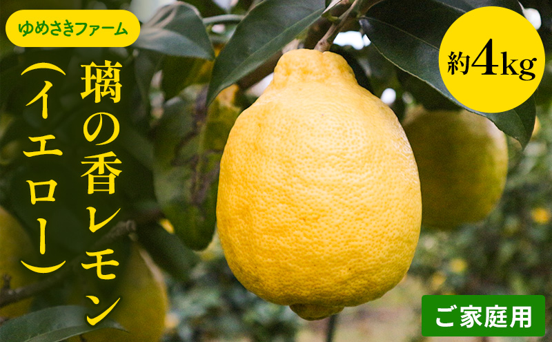 璃の香 レモン イエロー ご家庭用 約4kg れもん 檸檬 柑橘 国産  果汁 果物 フルーツ ゆめさきファーム