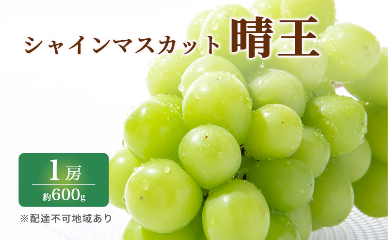 ぶどう 2026年 先行予約 特選 シャイン マスカット 晴王 1房 約600g ブドウ 葡萄 岡山県産 国産 フルーツ 果物 ギフト いろは堂