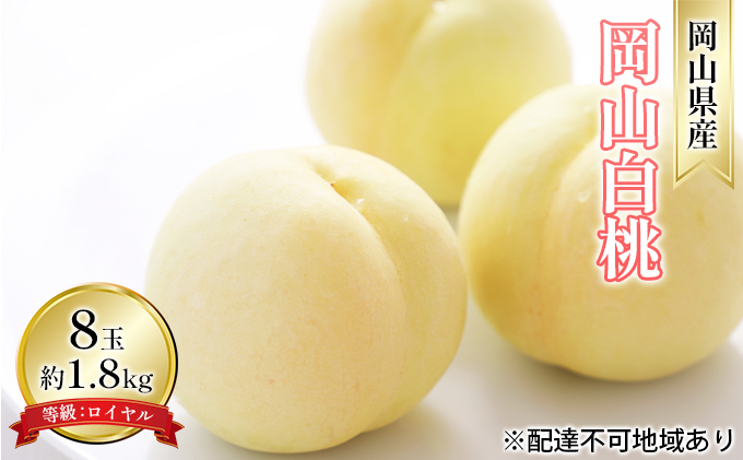 桃 2026年 先行予約 岡山 白桃 8玉 約1.8kg 等級：ロイヤル（1玉 220g以上） もも モモ 岡山県産 国産 フルーツ 果物 ギフト