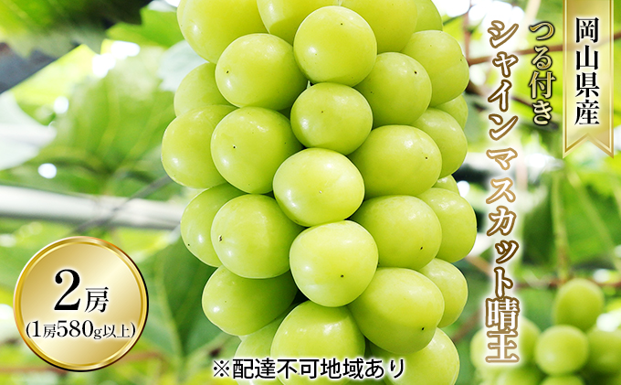 ぶどう 2026年 先行予約 つる付き シャイン マスカット 晴王 2房入り（1房 580g以上 ハウス栽培） ブドウ 葡萄  岡山県産 国産 フルーツ 果物 ギフト
