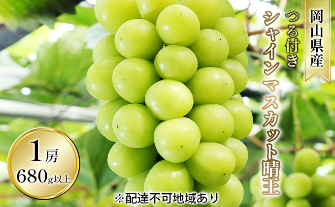 ぶどう 2026年 先行予約 つる付き シャイン マスカット 晴王 1房 680g以上（ハウス栽培） ブドウ 葡萄  岡山県産 国産 フルーツ 果物 ギフト