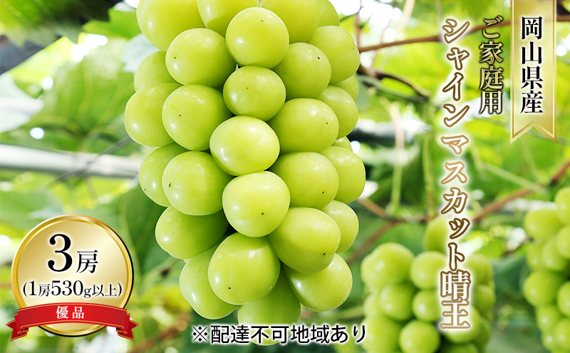 ぶどう 2026年 先行予約 ご家庭用 シャイン マスカット 晴王 優品 3房入り（1房 530g以上 露地栽培） ブドウ 葡萄  岡山県産 国産 フルーツ 果物