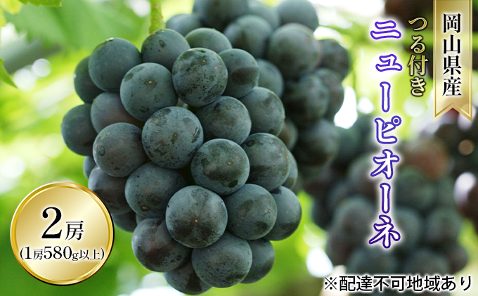 ぶどう 2026年 先行予約 つる付き ニュー ピオーネ 2房入り（1房 580g以上 露地栽培） ブドウ 葡萄  岡山県産 国産 フルーツ 果物 ギフト