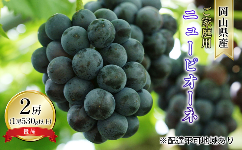 ぶどう 2026年 先行予約 ご家庭用 ニュー ピオーネ 優品 2房入り（1房 530g以上 露地栽培） ブドウ 葡萄  岡山県産 国産 フルーツ 果物