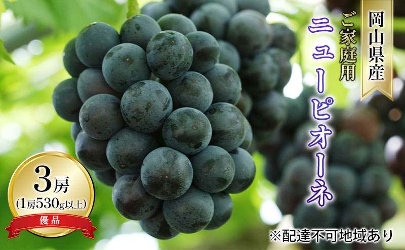 ぶどう 2026年 先行予約 ご家庭用 ニュー ピオーネ 優品 3房入り（1房 530g以上 露地栽培） ブドウ 葡萄  岡山県産 国産 フルーツ 果物