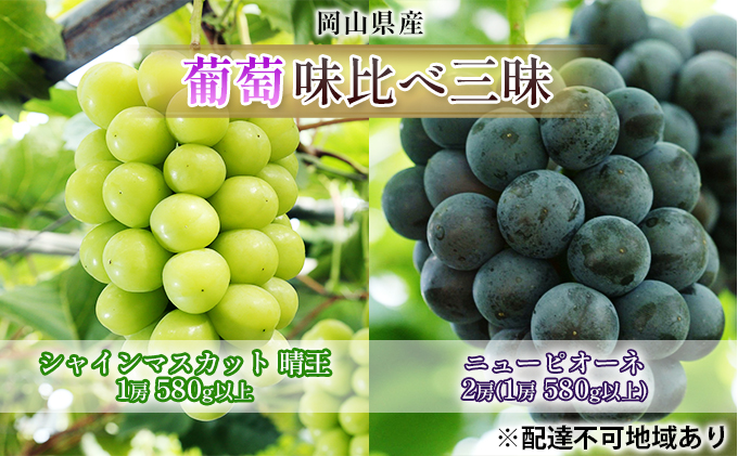 ぶどう 2026年 先行予約 葡萄 味比べ三昧 シャイン マスカット 晴王 1房 580g以上 ニュー ピオーネ  2房（1房 580g以上）（露地栽培）詰合せ ブドウ 葡萄  岡山県産 国産 フルーツ 果物 ギフト