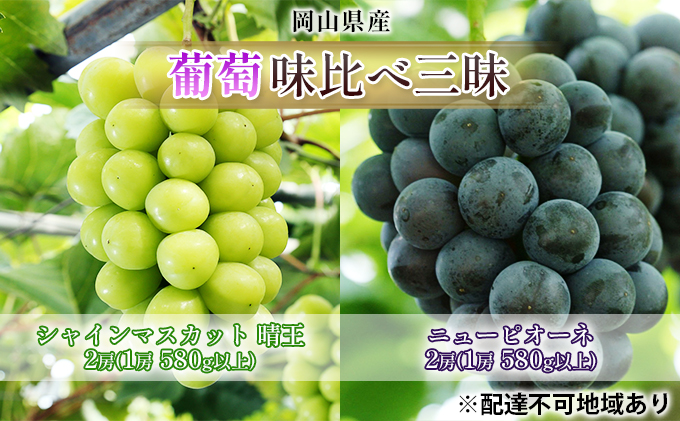 ぶどう 2026年 先行予約 葡萄 味比べ三昧 シャイン マスカット 晴王 2房（1房 580g以上）ニュー ピオーネ 2房（1房 580g以上）（露地栽培）詰合せ ブドウ 葡萄  岡山県産 国産 フルーツ 果物 ギフト