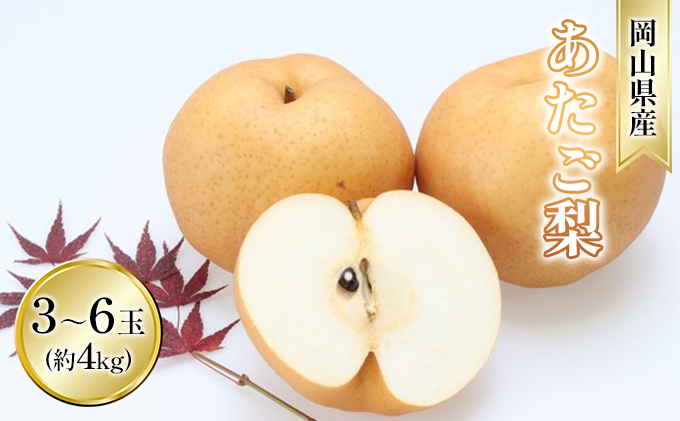 梨 2026年 先行予約 あたご梨 約4kg 3～6玉入り なし ナシ 岡山県産 国産 フルーツ 果物 ギフト