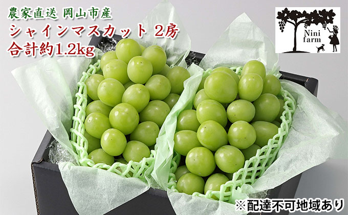 ぶどう 2026年 先行予約 【平均糖度20度】農家こだわりの シャイン マスカット 2房 合計約1.2kg 贈答クラス ブドウ 葡萄 岡山県産 国産 フルーツ 果物 ギフト 【 Nini farm 農家 直送 】 岡山のぶどう デザート