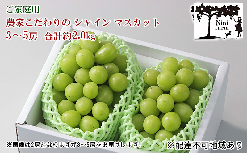 ぶどう 2026年 先行予約  【平均糖度20度】 ご家庭用 農家こだわりの シャイン マスカット 3～5房 合計約2.0kg ブドウ 葡萄 岡山県産 国産 フルーツ 果物 【 Nini farm 農家 直送 】 岡山のぶどう デザート