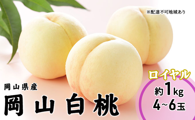 桃 2026年 先行予約 岡山 白桃 ロイヤル 4～6玉 1kg 岡山県産 JAおかやまのもも モモ 岡山県産 国産 フルーツ 果物 ギフト