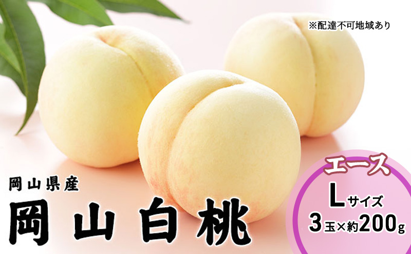 桃 2026年 先行予約 岡山 白桃 エース 3玉×200g（Lサイズ） 岡山県産 JAおかやまのもも モモ 岡山県産 国産 フルーツ 果物 ギフト