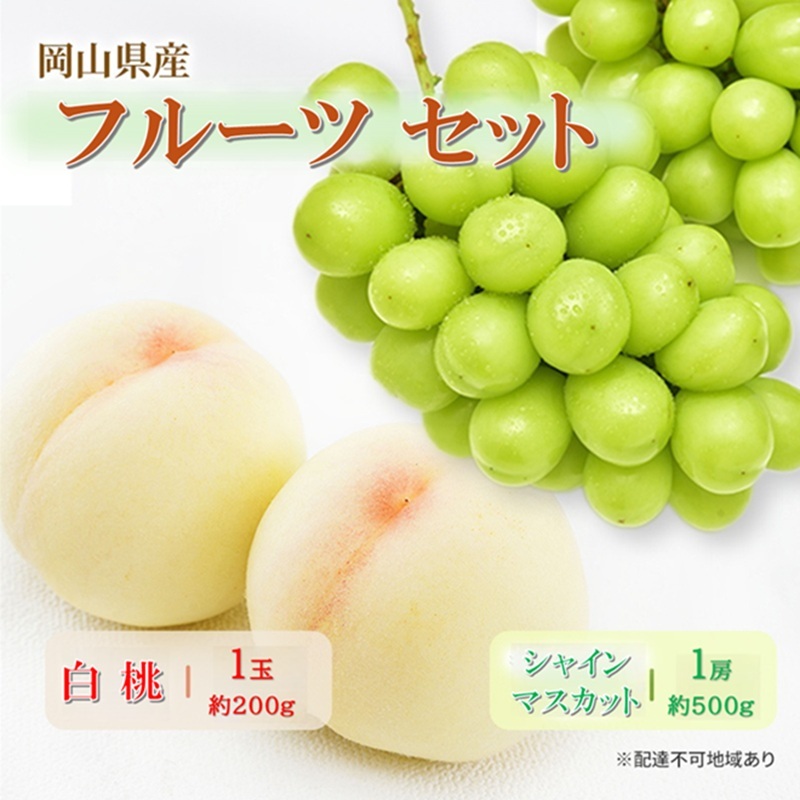 岡山県産 フルーツセット シャインマスカット 1房(約500g) 白桃 1玉(約200g)  果物 フルーツ 詰め合わせ ぶどう ブドウ 葡萄 桃 国産