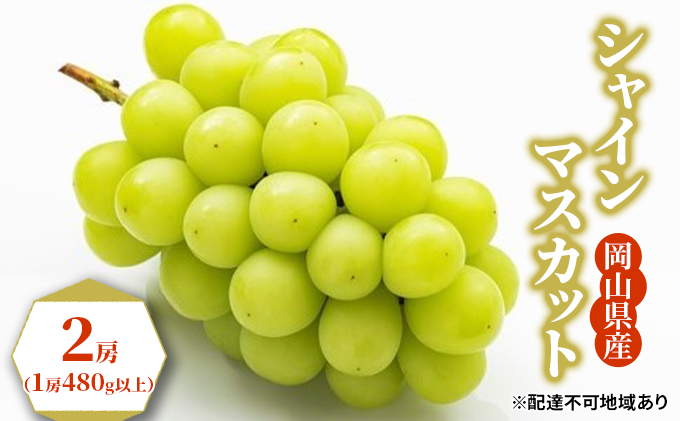 ぶどう 2026年 先行予約 シャイン マスカット 2房（1房480g以上） ブドウ 葡萄  岡山県産 国産 フルーツ 果物 ギフト 果物類 シャインマスカット