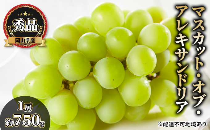 ぶどう 2026年 先行予約 マスカット・オブ・アレキサンドリア 秀品 1房約750g 化粧箱入り ブドウ 葡萄  岡山県産 国産 フルーツ 果物 ギフト