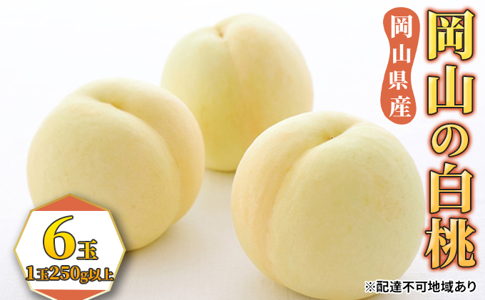桃 2026年 先行予約 白桃 6玉（1玉250g以上） もも モモ 岡山県産 国産 フルーツ 果物 ギフト 果物類
