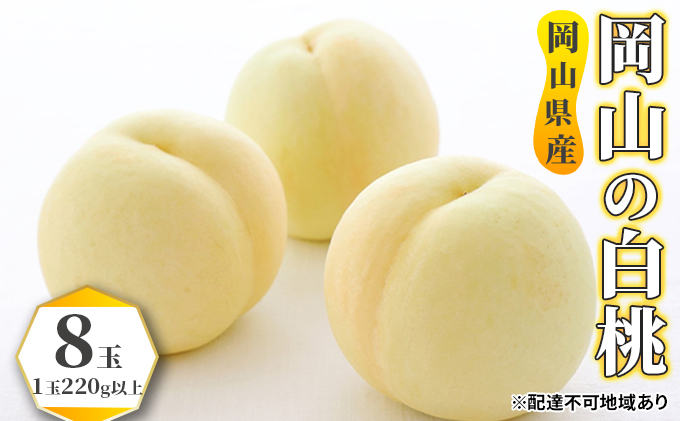 桃 2026年 先行予約 白桃 8玉（1玉220g以上） もも モモ 岡山県産 国産 フルーツ 果物 ギフト 果物類