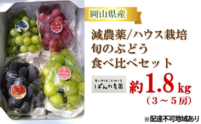 ぶどう 2026年 先行予約 旬のぶどう食べ比べセット 約1.8kg 3～5房 減農薬／ハウス栽培 ブドウ 葡萄 岡山県産 国産 フルーツ 果物 ギフト ばんの農園 マスカット