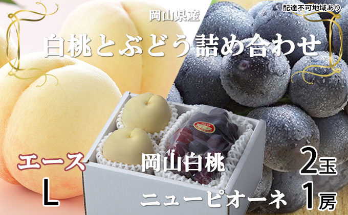 ぶどう 2026年 先行予約 岡山 白桃 エース 2玉×約200g（Lサイズ、早生種・中生種）ニュー ピオーネ 1房約400g  詰め合わせ 岡山県産 フルーツ