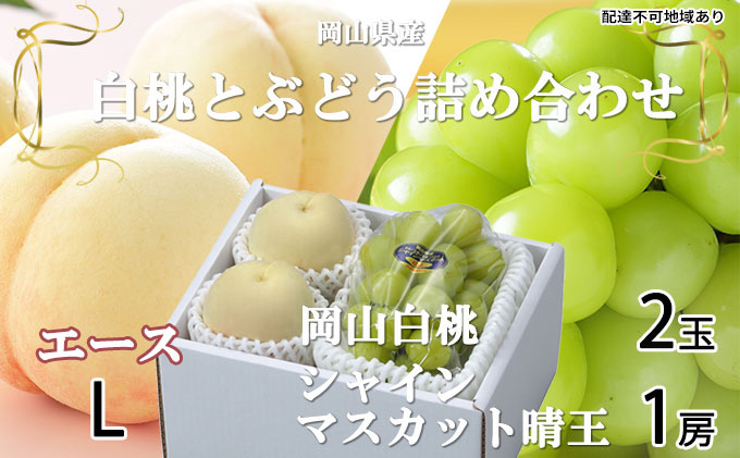 桃 ぶどう 2026年 先行予約 岡山 白桃 エース 2玉×約200g（Lサイズ、早生種・中生種）シャイン マスカット 晴王 1房約400g  詰め合わせ 岡山県産 フルーツ