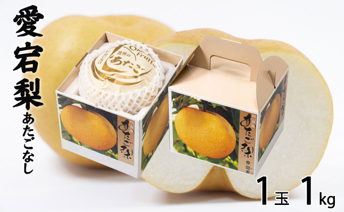 梨 あたご梨 1玉 約1kg なし ナシ 岡山県産 国産 フルーツ 果物 ギフト