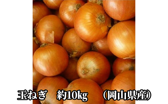 先行予約 玉ねぎ 約10kg（岡山県産） 晴れの国ファーム