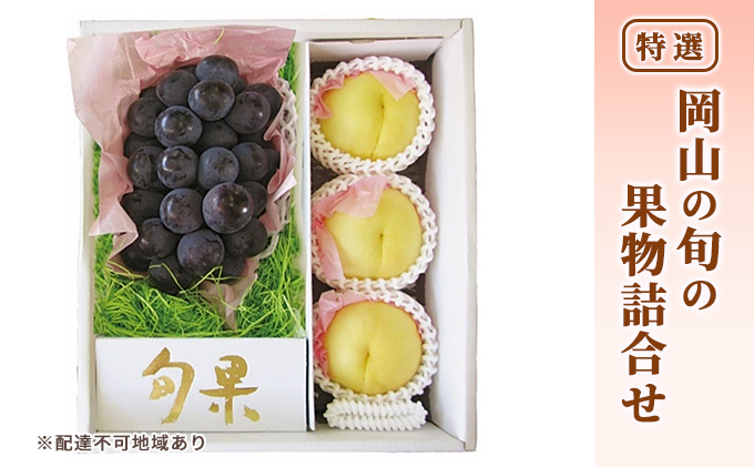 桃 ぶどう 2026年 先行予約 特選 岡山の旬の果物詰合せ-3 もも 葡萄 岡山県産 国産 フルーツ 果物 ギフト 岡山白桃 大玉 3玉 ニューピオーネ ブドウ お取り寄せ 季節の果物
