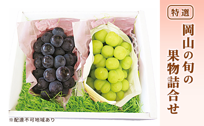 ぶどう 2026年 先行予約 特選 岡山の旬の果物詰合せ-4 シャインマスカット 晴王 ブドウ  葡萄  岡山県産 国産 フルーツ 果物 ギフト