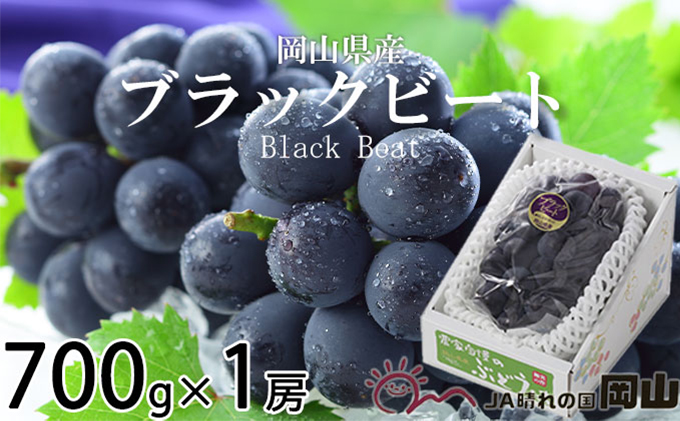 ぶどう 2026年 先行予約 ブラックビート 約700g×1房 ブドウ 葡萄  岡山県産 国産 フルーツ 果物 ギフト 岡山のブドウ デザート 食べ物 日本産