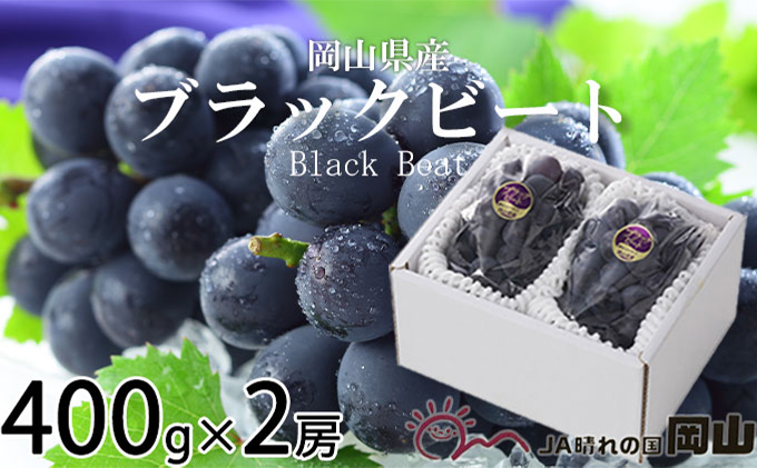 ぶどう 2026年 先行予約 ブラックビート 約400g×2房 ブドウ 葡萄  岡山県産 国産 フルーツ 果物 ギフト 岡山のブドウ デザート 食べ物 日本産
