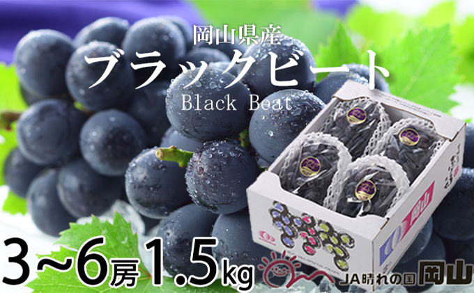 ぶどう 2026年 先行予約 ブラックビート 約1.5kg 3房～6房 ブドウ 葡萄  岡山県産 国産 フルーツ 果物 ギフト 岡山のブドウ デザート 食べ物 日本産